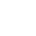 اوركيد